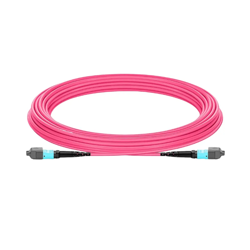 product-800-800